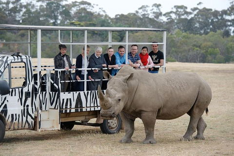 Off-Road Safari At Werribee Open Range Zoo - Accommodation Yamba 0