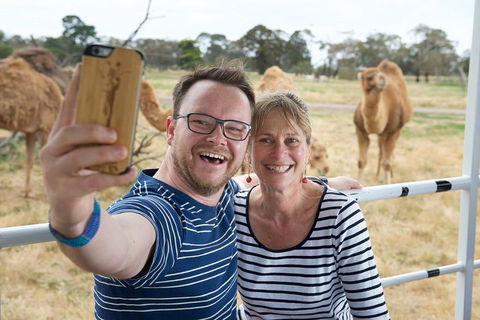 Off-Road Safari At Werribee Open Range Zoo - Accommodation Yamba 1