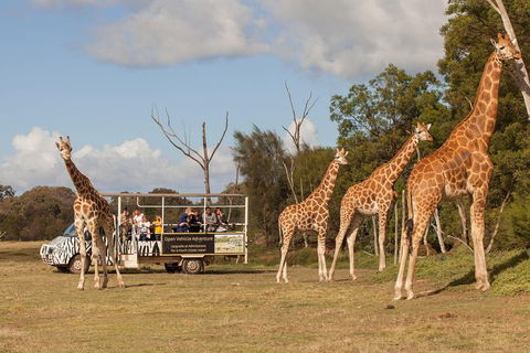 Off-Road Safari At Werribee Open Range Zoo - Accommodation Yamba 3