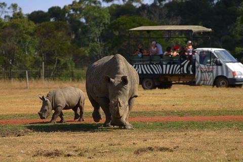 Off-Road Safari At Werribee Open Range Zoo - Accommodation Yamba 5