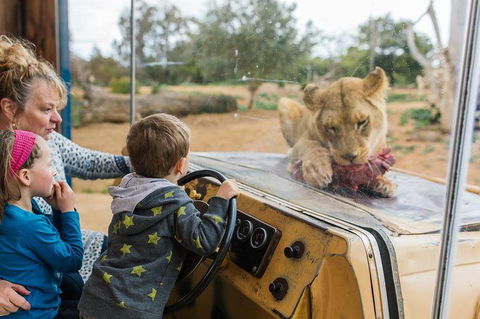 Werribee Open Range Zoo General Admission Ticket - Accommodation Yamba 4