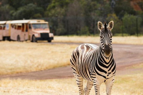 Werribee Open Range Zoo General Admission Ticket - Accommodation Yamba 5