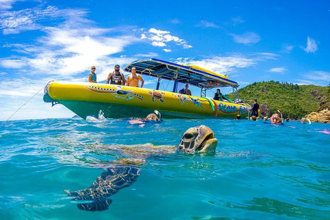 Great Barrier Reef Scenic Flight And Ocean Rafting Whitehaven Beach Day Trip - Accommodation Yamba 1