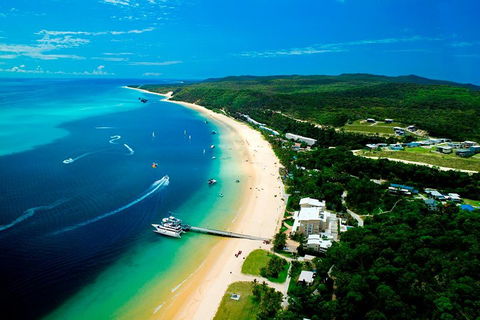 Tangalooma Island Resort Whale Watching Day Cruise - Accommodation Yamba 2