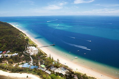 Tangalooma Island Resort Whale Watching Day Cruise - Accommodation Yamba 3