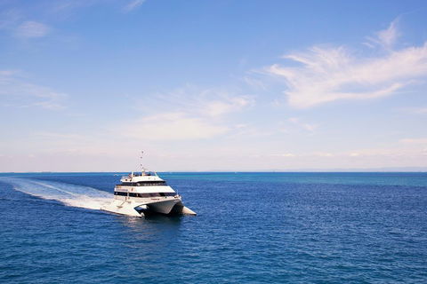 Tangalooma Island Resort Whale Watching Day Cruise - Accommodation Yamba 5