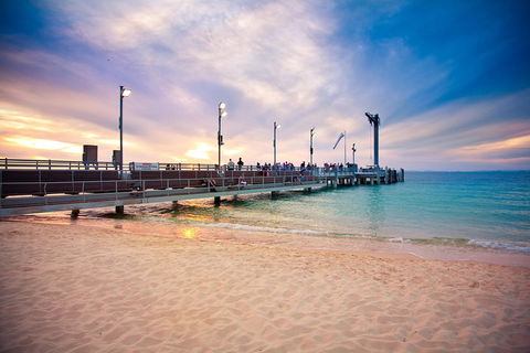 Tangalooma Island Resort Whale Watching Day Cruise With Dolphin Viewing - Accommodation Yamba 3