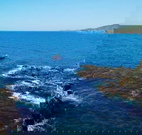 Julian Rocks Byron Bay Cruise - Accommodation Yamba