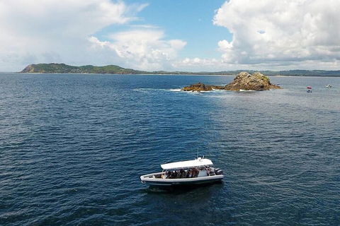 Julian Rocks Byron Bay Cruise - Accommodation Yamba 5