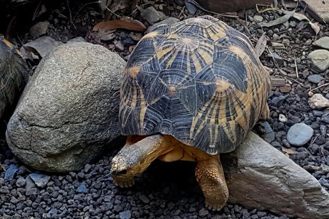 Hartley's Crocodile Adventures General Entry Ticket - Accommodation Yamba 2