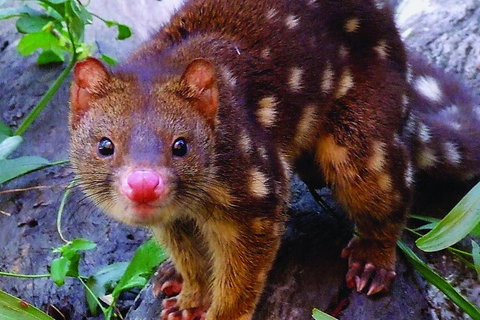 Hartley's Crocodile Adventures General Entry Ticket - Accommodation Yamba 4