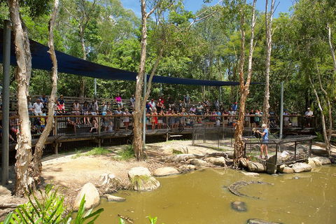 Hartley's Crocodile Adventures Breakfast With The Koalas - Accommodation Yamba 1