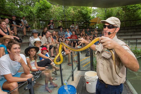 Hartley's Crocodile Adventures Breakfast With The Koalas - Accommodation Yamba 3