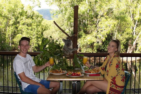 Hartley's Crocodile Adventures Breakfast With The Koalas - Accommodation Yamba 5