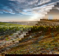 Perth to Margaret River Wine Tour - 2 Day Premium Boutique Wine Tour Experience - Accommodation Yamba