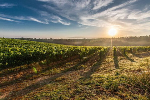 Perth To Margaret River Wine Tour - 2 Day Premium Boutique Wine Tour Experience - Accommodation Yamba 0