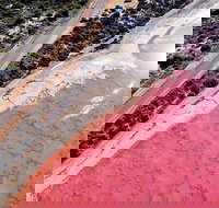 7-Day Exmouth Explorer via Pinnacles Monkey Mia Ningaloo Reef returning to Perth - Accommodation Yamba