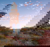 6-Day Coral Coaster from Perth to Exmouth One-Way via Monkey Mia Ningaloo Reef - Accommodation Yamba