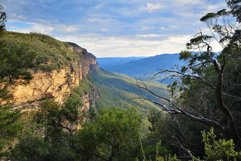 Sunset Blue Mountains Wilderness & Wildlife Tour Without The Crowds - Accommodation Yamba 2