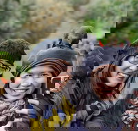 Small-Group Great Ocean Road and 12 Apostles Full-Day Tour from Melbourne - Accommodation Yamba