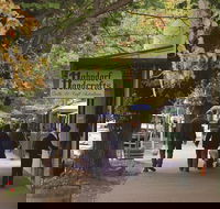 Adelaide Highlights Hahndorf  McLaren Vale Wine Tasting and Sightseeing Tour - Accommodation Yamba