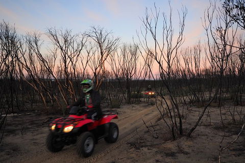 Kangaroo Island Quad Bike (ATV) Tours - Accommodation Yamba 1
