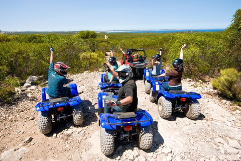 Kangaroo Island Quad Bike (ATV) Tours - Accommodation Yamba 3