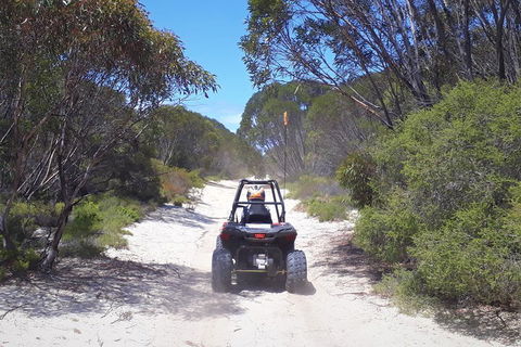 Kangaroo Island Quad Bike (ATV) Tours - Accommodation Yamba 4