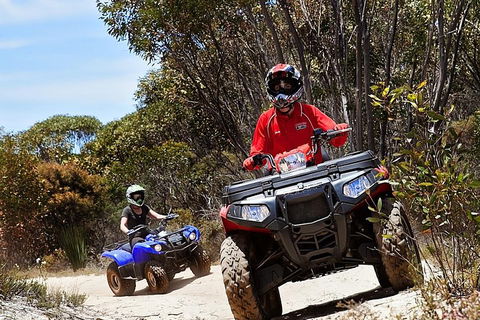 Kangaroo Island Quad Bike (ATV) Tours - Accommodation Yamba 5