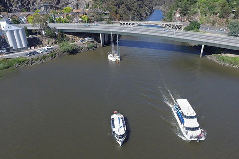 2.50 Hour Afternoon Discovery Cruise Including Cataract Gorge Departing At 3 Pm - Accommodation Yamba 5