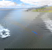 2.5 hour Afternoon Discovery Cruise including Cataract Gorge departs at 1 30 pm - Accommodation Yamba