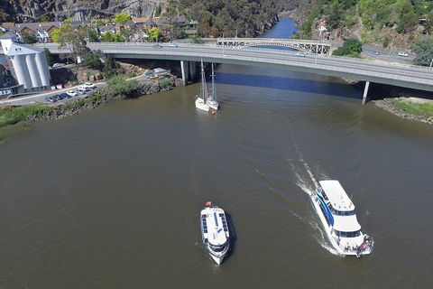 2.5 Hour Afternoon Discovery Cruise Including Cataract Gorge Departs At 1: 30 Pm - Accommodation Yamba 5
