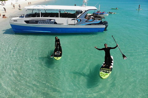 Whitsunday Bullet Day Trip - Whitehaven Beach And Snorkelling - Accommodation Yamba 4