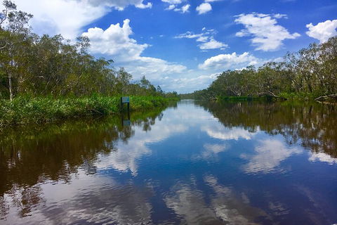 Noosa Everglades Serenity Cruise & Highlights Tour Inc. Lunch & Cruise - Accommodation Yamba 0