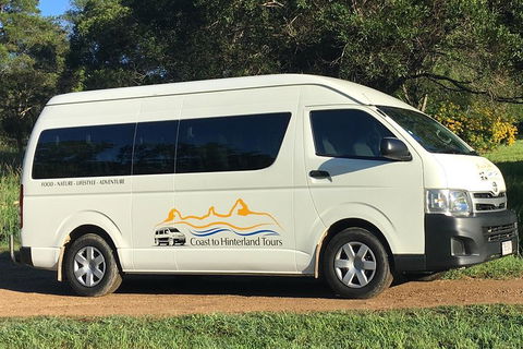 Noosa Everglades Serenity Cruise & Highlights Tour Inc. Lunch & Cruise - Accommodation Yamba 5