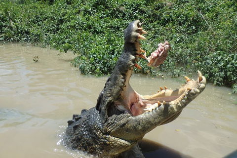 Litchfield And Jumping Crocodiles Full Day Trip From Darwin - Accommodation Yamba 3