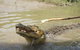 Litchfield And Jumping Crocodiles Full Day Trip From Darwin - thumb 4