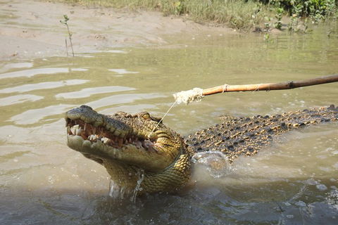 Litchfield And Jumping Crocodiles Full Day Trip From Darwin - Accommodation Yamba 4