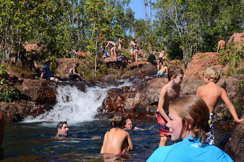 Litchfield And Jumping Crocodiles Full Day Trip From Darwin - Accommodation Yamba 5