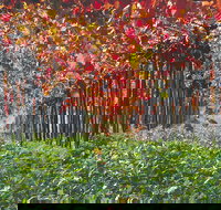 Margaret River Private Tour - Accommodation Yamba