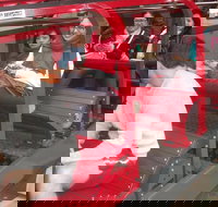 Blue Mountains Private Tour with Wildlife Park and River Cruise - Accommodation Yamba