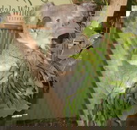 Blue Mountains Private Full-Day Tour from Sydney with Cruise - Accommodation Yamba