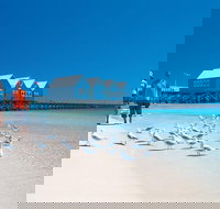 Margaret River and Geographe Bay Region Day Trip from Perth - Accommodation Yamba