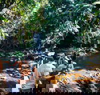 Aquaduck  Your choice of Gold Coast Rainforest Tour - Accommodation Yamba