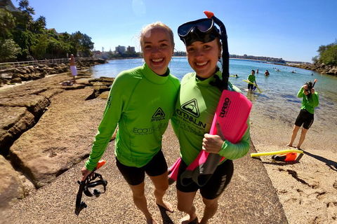 Manly Snorkel Trip And Nature Walk With Local Guide - Accommodation Yamba 1