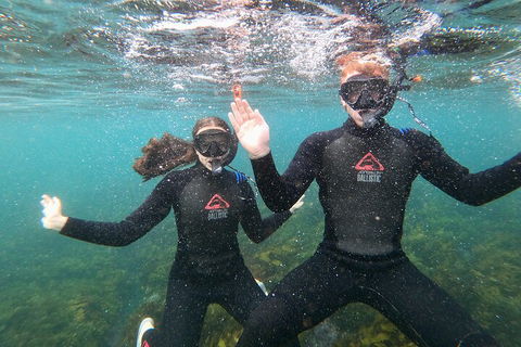Manly Snorkel Trip And Nature Walk With Local Guide - Accommodation Yamba 3