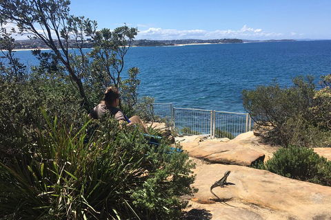 Manly Snorkel Trip And Nature Walk With Local Guide - Accommodation Yamba 4