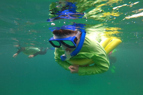 Manly Snorkel Trip And Nature Walk With Local Guide - Accommodation Yamba 5