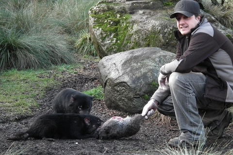 After Dark Tasmanian Devil Feeding Tour At Cradle Mountain - Accommodation Yamba 2
