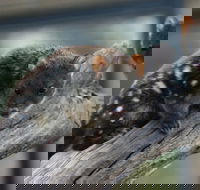 Sunset Experience - Accommodation Yamba